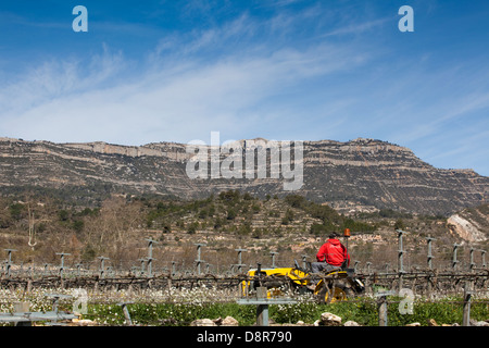 Bauer arbeitet auf einem Weingut im Priorat, Katalonien, Spanien Stockfoto