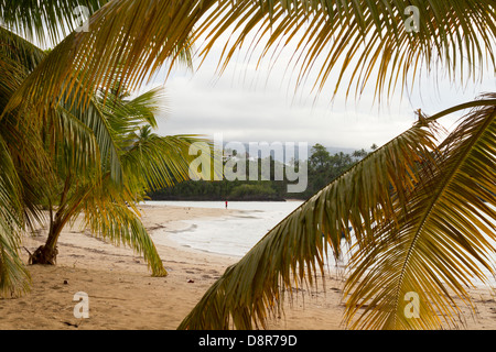 Punta Poppy, Dominikanische Republik. Stockfoto