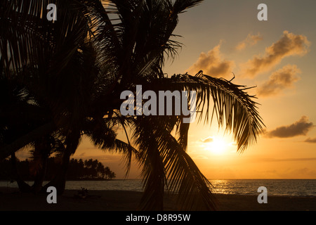 Sonnenuntergang im El Portillo Beach, Dominikanische Republik. Stockfoto