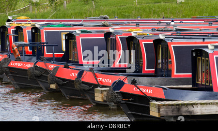 Reihen von klassischen Shakespeare-Ferienvermietungshäuschen mit Namen Boote, die auf Trent und Mersey Canal festgemacht sind; Anlegestellen an der Mercia Marina, Willington, Derbyshire, Großbritannien Stockfoto