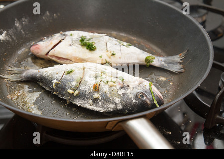 Aus Goldbrasse in einer Pfanne Stockfoto