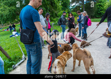 Paris, Frankreich, Familien zu Fuß, Treffen, Hundezüchter in Bois de Vincennes, French Urban Park, Französische Kinder, Haustiere Tiere URBAN europe Stockfoto