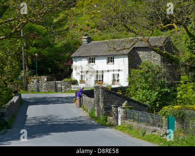 Mensch und Hund im Dorf Elterwater, Langdale, Nationalpark Lake District, Cumbria, England UK Stockfoto