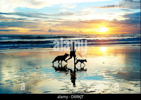 Mann mit einem Hunde laufen am Strand bei Sonnenuntergang. Insel Bali, Indonesien Stockfoto