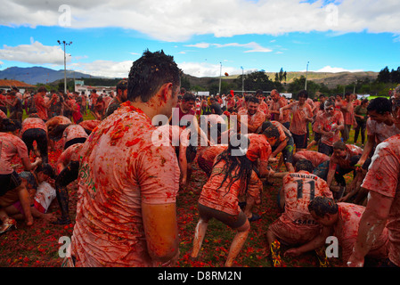 Kolumbianische Festival Tomatina inspiriert, von Burgos in Spanien, Sutamarchan, Boyacá, Kolumbien, Südamerika Stockfoto