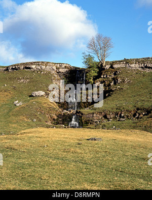 Wasserfall auf Kuh nah, Cray, Yorkshire Dales, North Yorkshire, England, UK, Großbritannien, Westeuropa. Stockfoto