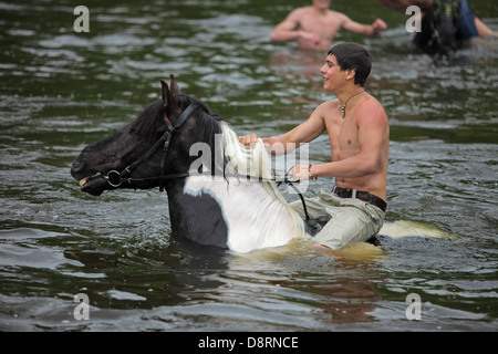 Reiter im Fluss schwimmende Stockfoto