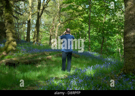 Man beobachtete Vögel Barkbooth Lot, Cumbria Wildlife Trust Naturschutzgebiet, Nationalpark Lake District, Cumbria, England UK Stockfoto