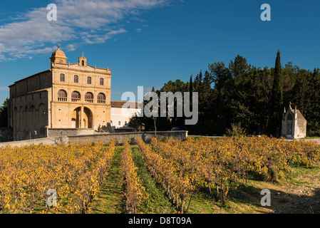 Notre Dame de Grace und Weinberg, Gignac, Hérault, Languedoc Roussillon, Frankreich Stockfoto