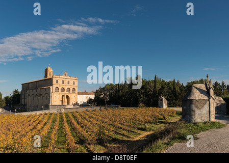 Notre Dame de Grace und Weinberg, Gignac, Hérault, Languedoc Roussillon, Frankreich Stockfoto