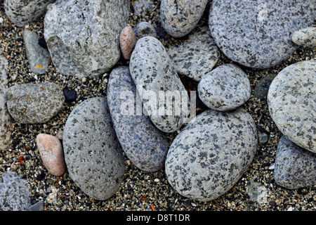 Strand-Steinen auf Burnaby Insel Haida Gwaii Queen Charlotte Islands Gwaii Haanas National Park in British Columbia Kanada Stockfoto
