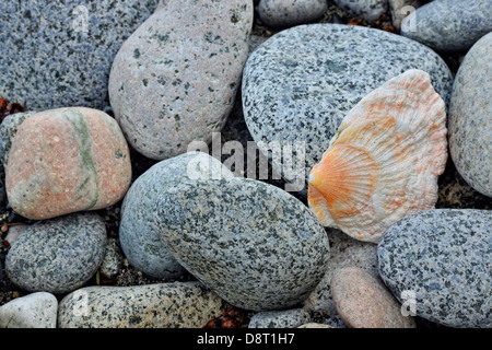 Strand-Steinen auf Burnaby Insel Haida Gwaii Queen Charlotte Islands Gwaii Haanas National Park in British Columbia Kanada Stockfoto