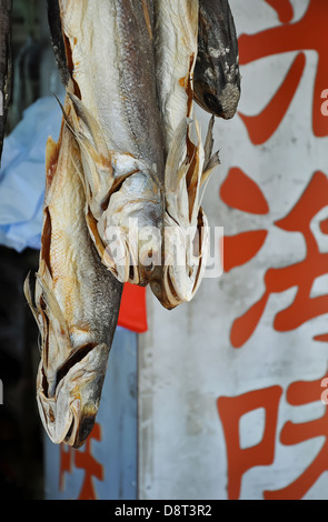 Gesalzener Fisch vor einem Geschäft hängen, Cheung Chau, Hong Kong. Stockfoto