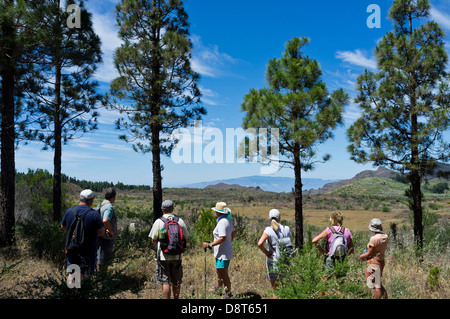 Eine Gruppe von Wanderern zu stoppen, um den Blick an einem klaren Tag von den Pinienwald in der Nähe von Erjos, nach La Gomera zu bewundern. Teneriffa, Stockfoto