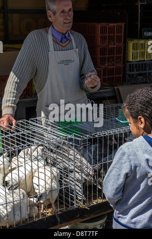 Standbesitzer in Geflügel Stand und Kind betrachtet man Hühner in Käfigen zum Verkauf an Haustier-Markt Stockfoto