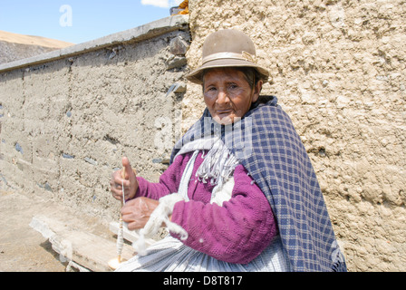 Aymara Greisin in der Cordillera Real Stockfoto