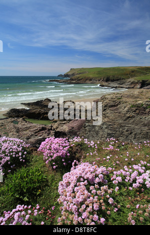 Pentireglaze Haven (neues Polzeath) Strandblick zum Bürzel hin, North Cornwall, England, UK Stockfoto