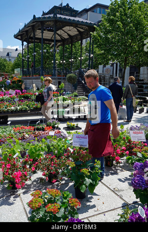 Standbesitzer arbeiten auf Ständer mit bunten Blumen auf dem Blumenmarkt auf dem Kouter Platz in Gent, Belgien Stockfoto