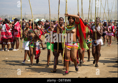 Zulu Jungfrauen liefern Schilf Stöcke an den König Zulu Reed Dance im eNyokeni Palace, Nongoma, Südafrika Stockfoto