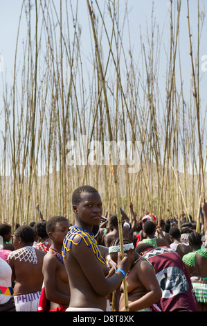 Zulu Jungfrauen liefern Schilf Stöcke an den König Zulu Reed Dance im eNyokeni Palace, Nongoma, Südafrika Stockfoto