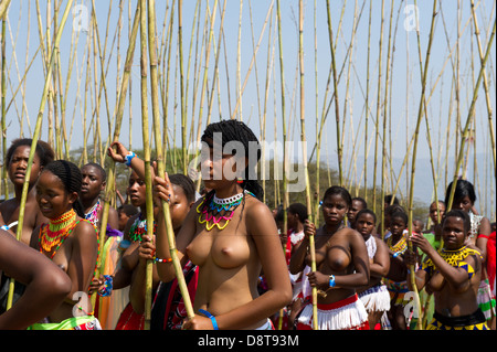 Zulu Jungfrauen liefern Schilf Stöcke an den König Zulu Reed Dance im eNyokeni Palace, Nongoma, Südafrika Stockfoto