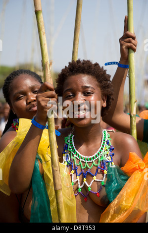 Zulu Jungfrauen liefern Schilf Stöcke an den König Zulu Reed Dance im eNyokeni Palace, Nongoma, Südafrika Stockfoto