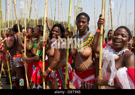 Zulu Jungfrauen liefern Schilf Stöcke an den König Zulu Reed Dance im eNyokeni Palace, Nongoma, Südafrika Stockfoto