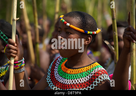 Zulu Jungfrauen liefern Schilf Stöcke an den König Zulu Reed Dance im eNyokeni Palace, Nongoma, Südafrika Stockfoto