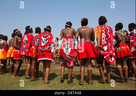 Zulu Reed Dance im eNyokeni Palace, Nongoma, Südafrika Stockfoto