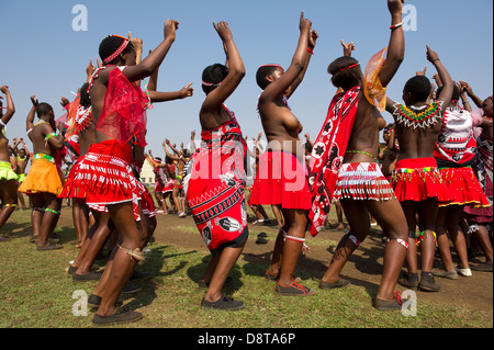 Zulu Reed Dance im eNyokeni Palace, Nongoma, Südafrika Stockfoto