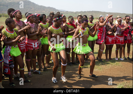 Zulu Reed Dance im eNyokeni Palace, Nongoma, Südafrika Stockfoto