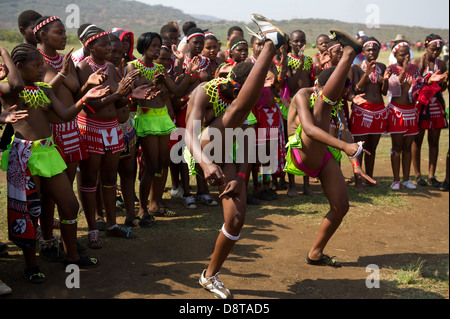 Zulu Reed Dance im eNyokeni Palace, Nongoma, Südafrika Stockfoto