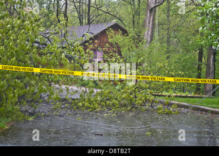 Baum und Drähte in einer Nachbarschaft Straße Withyellow Band sagen "Vorsicht Hochspannung" vor ihnen gefallen. Stockfoto