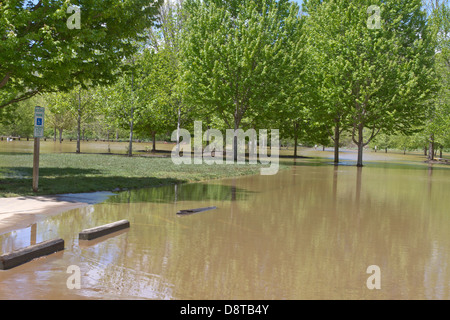 Ein Fluss überfluteten Park und Parkplatz im Sommer Stockfoto