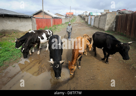 Leben in Ulaan Baataar, mongolischen Hauptstadt. Stockfoto