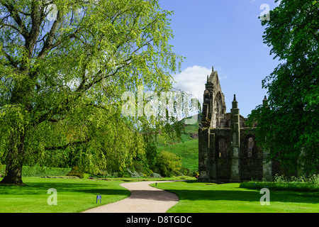 Holyrood Abbey und Palast, Edinburgh, königlichen Residenz - ruiniert Ostende der 12. C Abtei von Gärten gesehen. Stockfoto