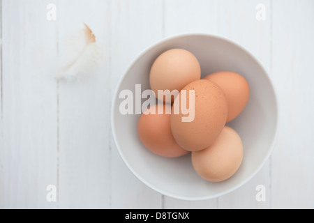 Frisch gelegt organische Freilandhaltung Eiern in eine Schüssel geben. Stockfoto