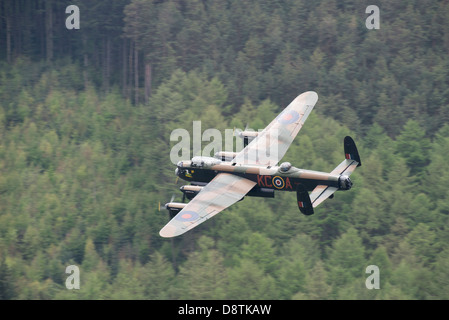 Die Schlacht von Großbritannien Memorial Flight (BBMF) Avro Lancaster fliegt niedrig über die Bäume in der oberen Derwent Valley Stockfoto