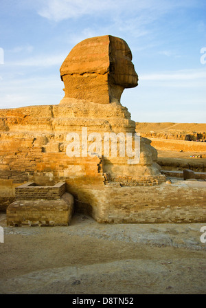 Seitenansicht der Sphinx von Gizeh in am Nachmittag Licht, Ägypten Stockfoto