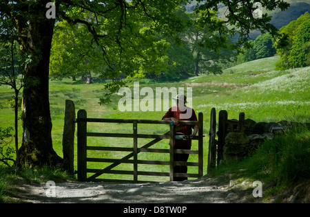 Ältere Mann zu Fuß auf dem Weg von Skelwith Brücke Elterwater, Langdale, Nationalpark Lake District, Cumbria, England UK Stockfoto