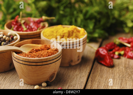 Vier Arten von Gewürzen Stockfoto