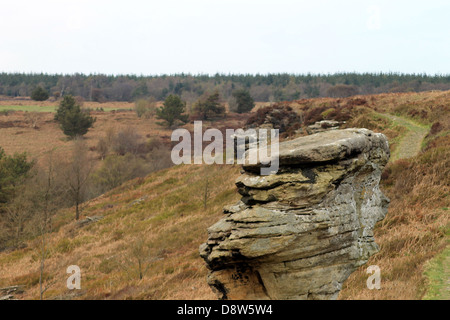 Malerische Aussicht auf erodierten Stack Felsformation in Mooren, North Yorkshire, England. Stockfoto