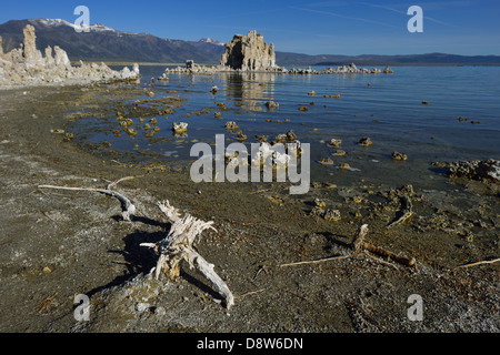 Kalktuff-Formationen am Südrand des Mono Lake, Kalifornien Stockfoto