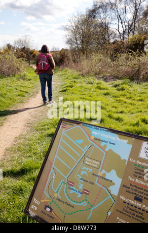 Eine Frau, die zu Fuß in der Hickling Broad Naturschutzgebiet, Norfolk Broads, East Anglia UK Stockfoto