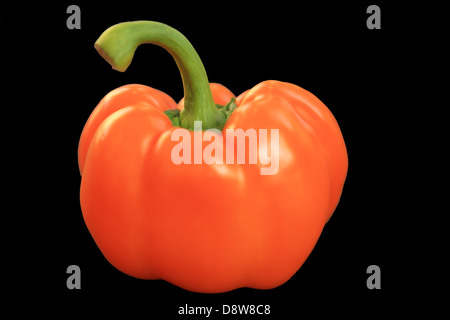 Orangen Pfeffer auf schwarzem Hintergrund isoliert Stockfoto