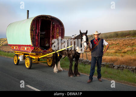 Romany Travellers Caravans; Original Bugtop Romani vardo Zigeuner Canvas Caravan, ein überdachter Wagen gemalt in Kirkby Stephen, Großbritannien. Juni 2013. Cowboy Craig Rotherforth mit farbigem Cob Horse, Mitglied der Wandergemeinschaft auf dem Weg zur Appleby Horse Fair in Cumbria. Die Messe ist ein jährliches Treffen von Zigeunern und Reisenden, das in der ersten Juniwoche stattfindet und seit der Regierungszeit von Jakob II. Stattfindet, der 1685 eine königliche Charta gewährte, die eine Pferdemesse „in der Nähe des Flusses Eden“ erlaubte. Stockfoto