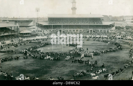 Dieses Schwarzweiß-Foto zeigt die Grand Parade bei der Royal Easter Show in Sydney, New South Wales. Bei der Parade werden zahlreiche Menschenmassen, Pferde und Zuschauer bei einer der bekanntesten jährlichen Veranstaltungen in der Region gefeiert, die die kulturelle und soziale Bedeutung der Veranstaltung verdeutlichen. Stockfoto