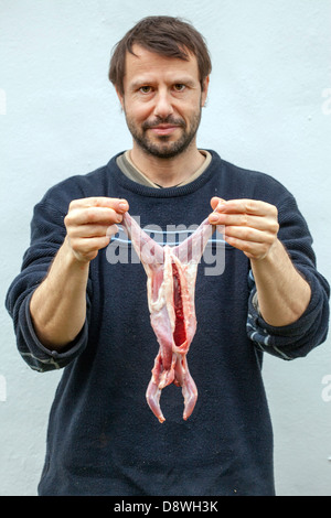 Fergus Drennan, bekannt als "Fergus die Forager" bereitet ein Straße-Kill-Eichhörnchen Essen zu Hause in Chartham, Kent, UK Stockfoto