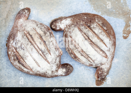 Frisch gebackenes Brot, close-up Stockfoto