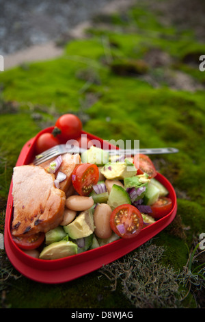 Gemüsesalat in Kunststoff-box Stockfoto